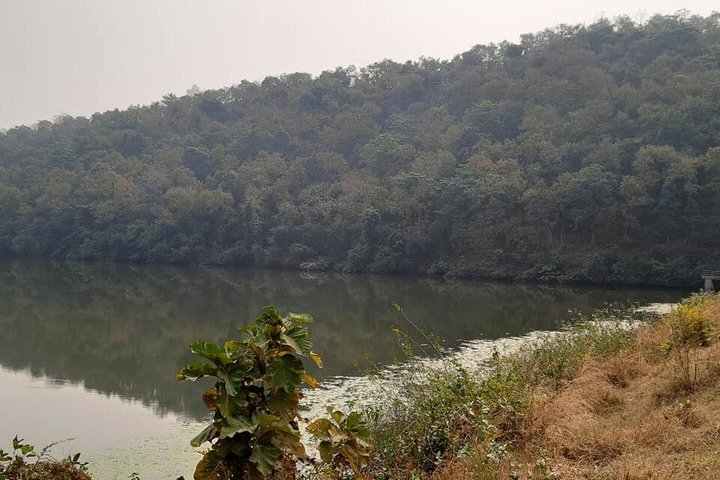 Jambughoda Wildlife & Tribal Tour from Vadodara