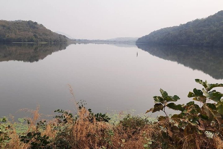 Jambughoda Wildlife & Tribal Tour from Vadodara