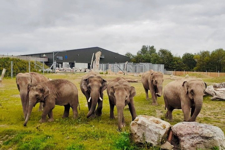 Day Ticket Blackpool ZOO