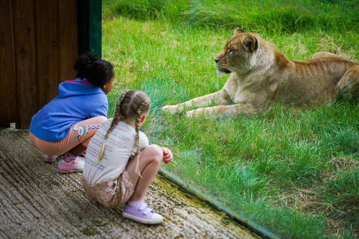 Day Ticket Blackpool ZOO