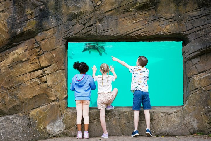 Day Ticket Blackpool ZOO