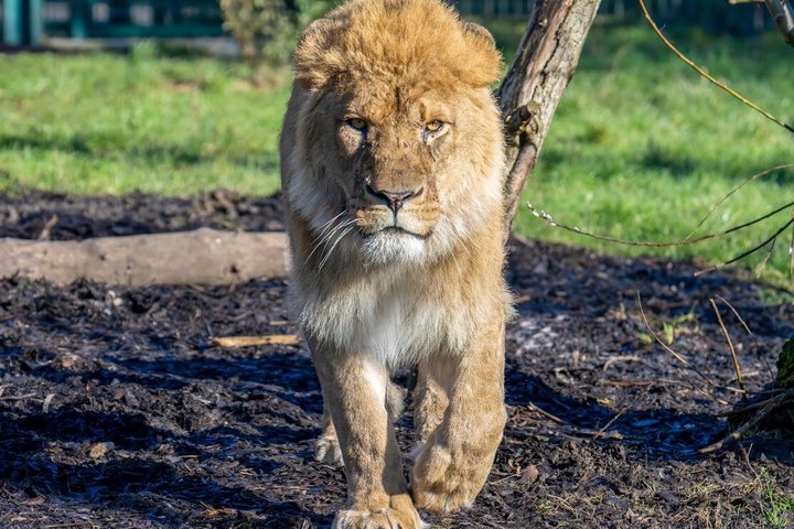 Day Ticket Blackpool ZOO