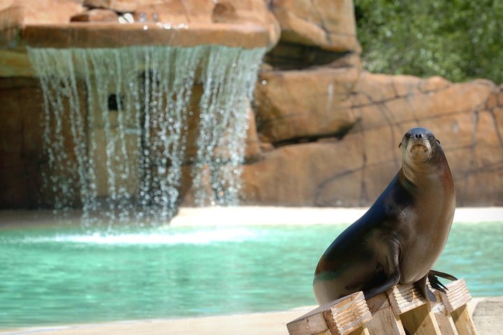 Day Ticket Blackpool ZOO