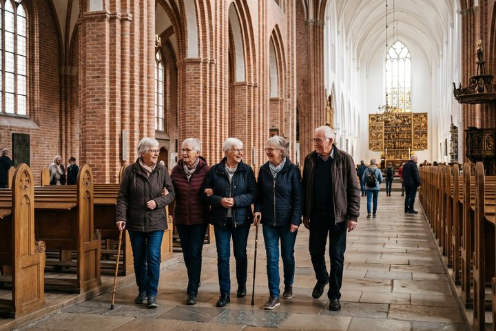 Private Heritage Walking Tour in Odense Historic Center