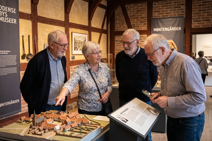 Private Heritage Walking Tour in Odense Historic Center