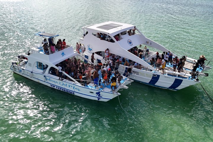 Punta Cana Exclusive Hip Hop Party Boat Vibes Adult With Open bar