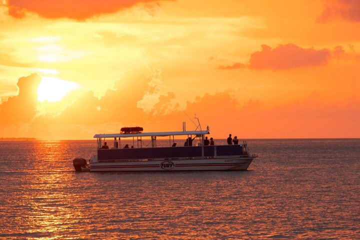 Key West Dolphin Watch and Snorkel Tour - Eco Adventure