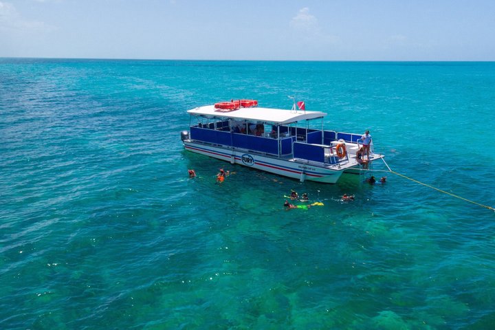 Key West Dolphin Watch and Snorkel Tour - Eco Adventure