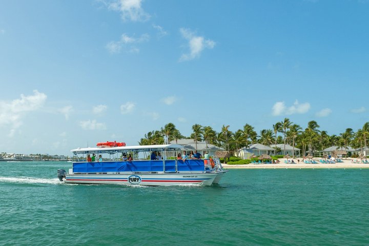 Key West Dolphin Watch and Snorkel Tour - Eco Adventure