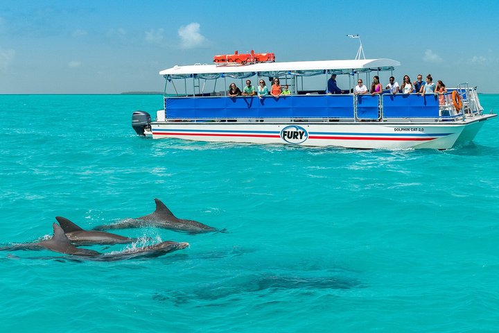 Key West Dolphin Watch and Snorkel Tour - Eco Adventure