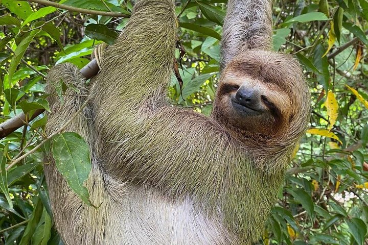 Manuel Antonio National Park Guided Tour – With Ticket Option