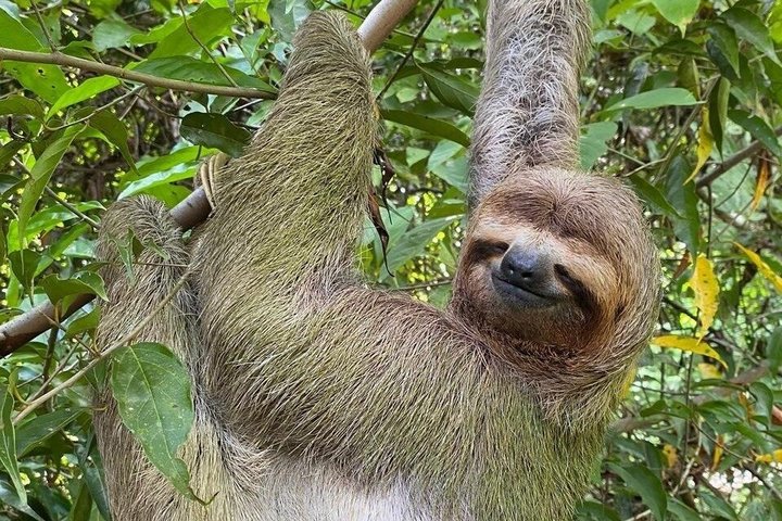Manuel Antonio National Park Guided Tour – With Ticket Option