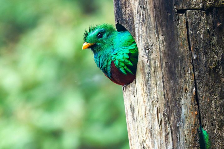 Quetzal Refuge Tour and Overnight in Mayan Village - Two Days