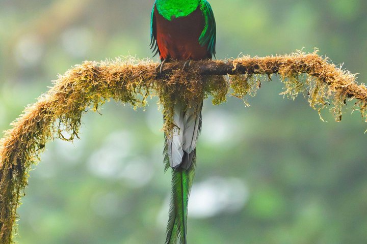 Quetzal Refuge Tour and Overnight in Mayan Village - Two Days
