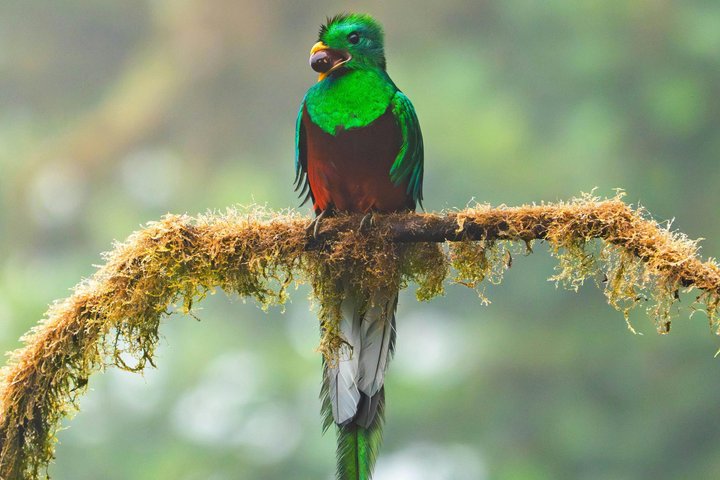 Quetzal Refuge Tour and Overnight in Mayan Village - Two Days