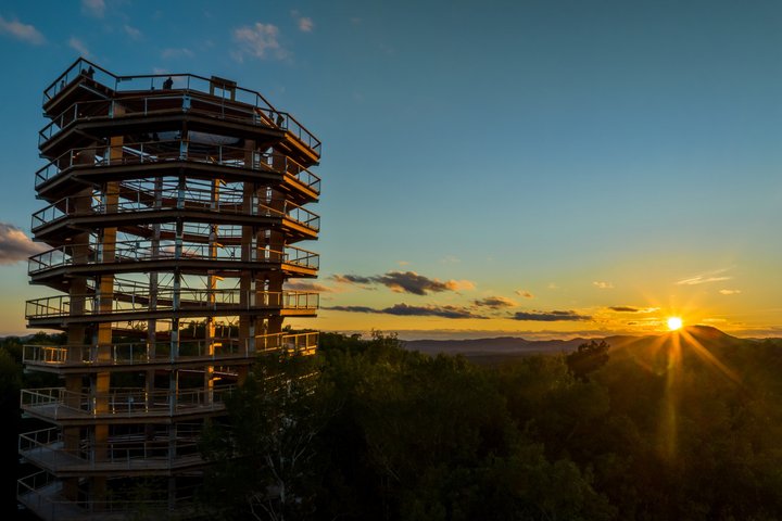 Bike Rentals Treetop Walk Package