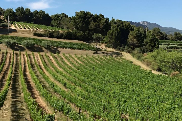 Medieval village of Castellet, Cassis & the beautifull Calanques