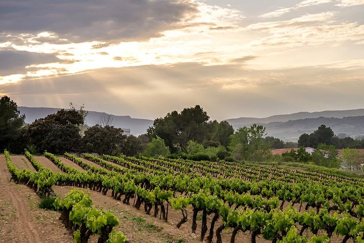 Medieval village of Castellet, Cassis & the beautifull Calanques