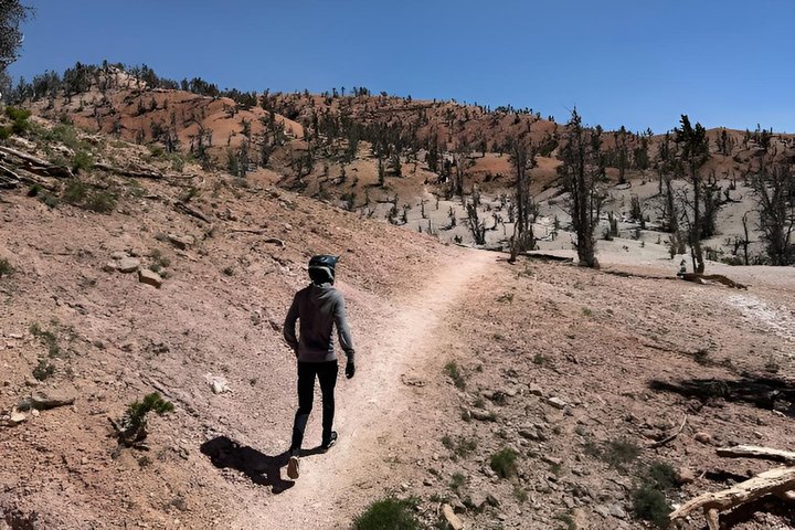 XPEDITION XP 5 NorthStar ATV Experience in Brian Head UT