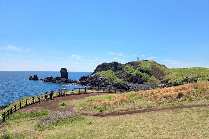 Jeju Private Taxi Tour with English Speaking Guide & Driver