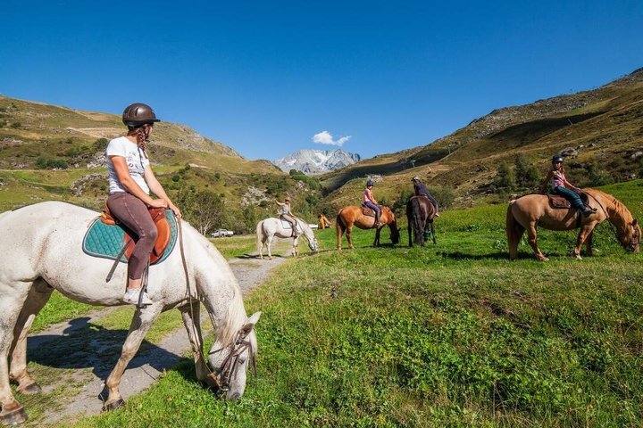 3 Day Horse Tracking to Song Kul Small Group Tour
