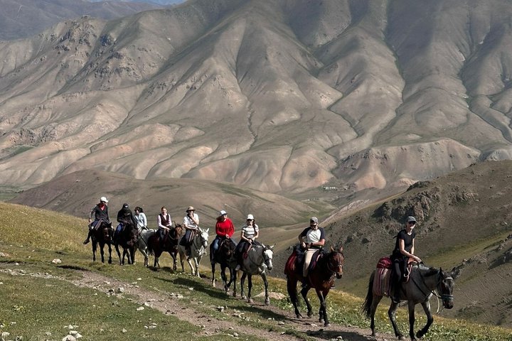 3 Day Horse Tracking to Song Kul Small Group Tour