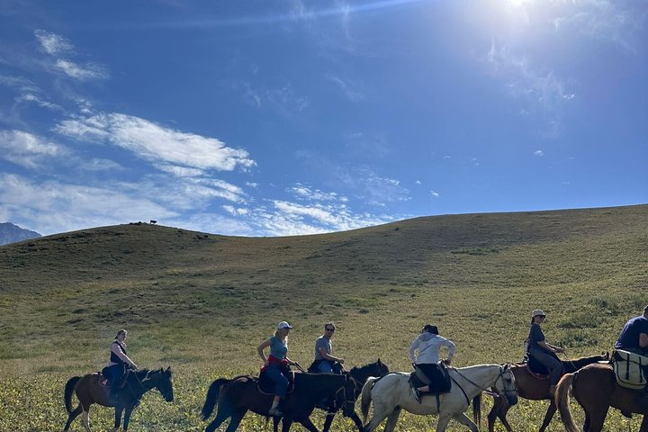 3 Day Horse Tracking to Song Kul Small Group Tour