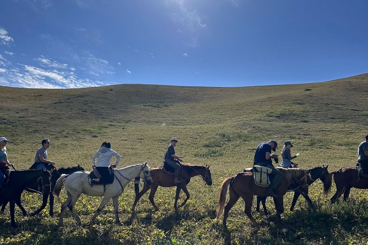 3 Day Horse Tracking to Song Kul Small Group Tour