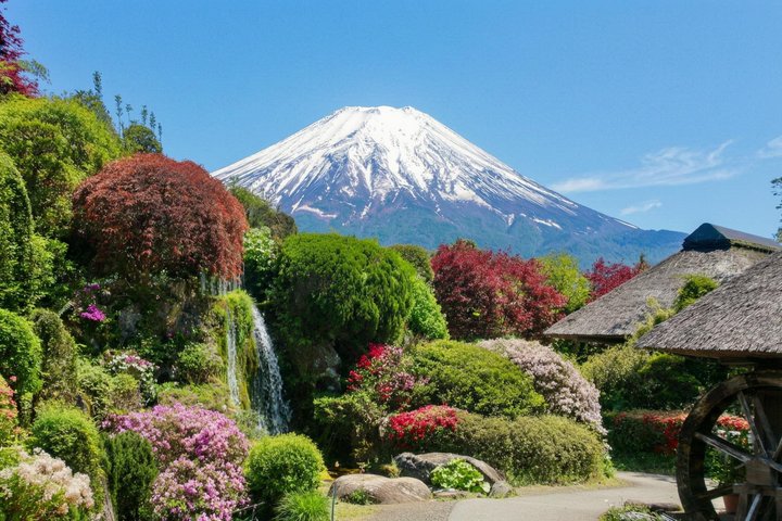 Mount Fuji Full Day Sightseeing Tour from Tokyo