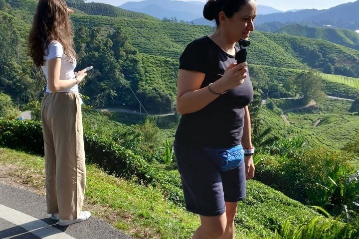 Cameron Highland explore tour from Ipoh