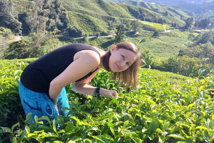 Cameron Highland explore tour from Ipoh