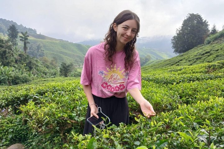 Cameron Highland explore tour from Ipoh