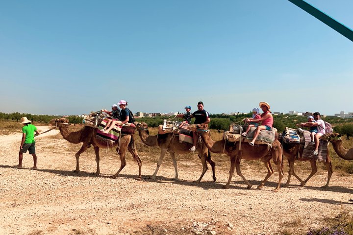 Tunisian Camel Ride and Local Experience