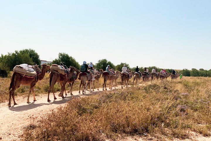 Tunisian Camel Ride and Local Experience