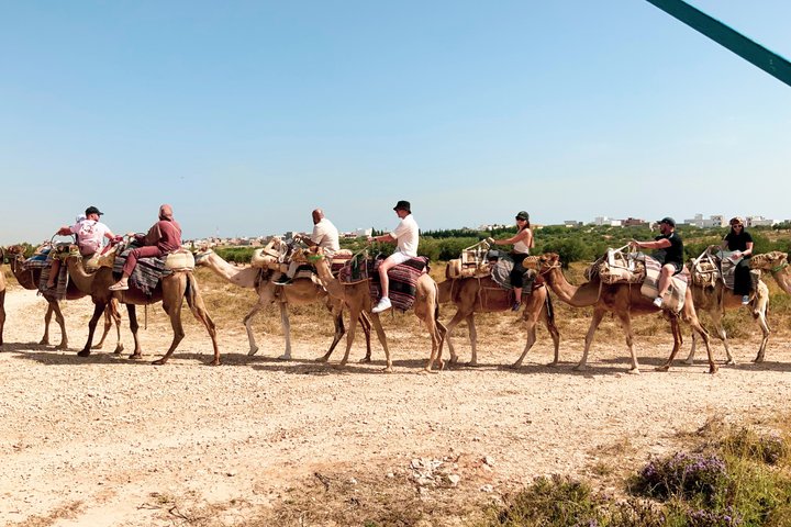 Tunisian Camel Ride and Local Experience