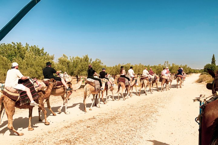 Tunisian Camel Ride and Local Experience