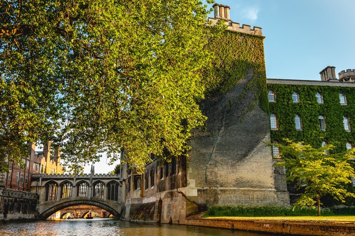Shared Guided Punting Tour of Cambridge