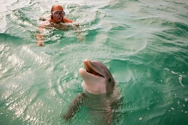 Panama City Beach Small Group Dolphin & Snorkel Tour (Max 6 )