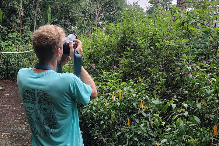 Bird Watching Tour in the Amazon in Misahuali