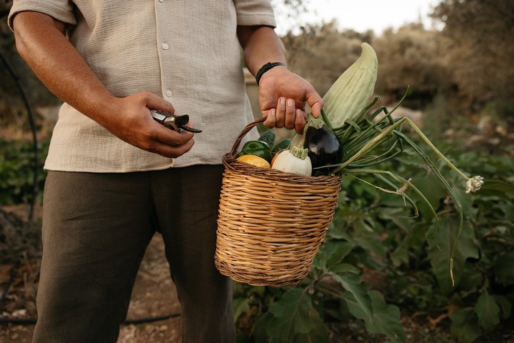 Naxos:Half-day cooking class at Basiliko Farm