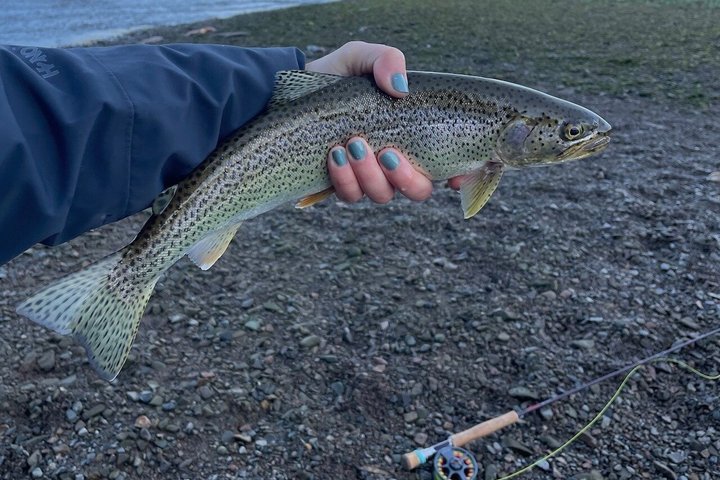 Icy Strait River Fishing & Wildlife Search