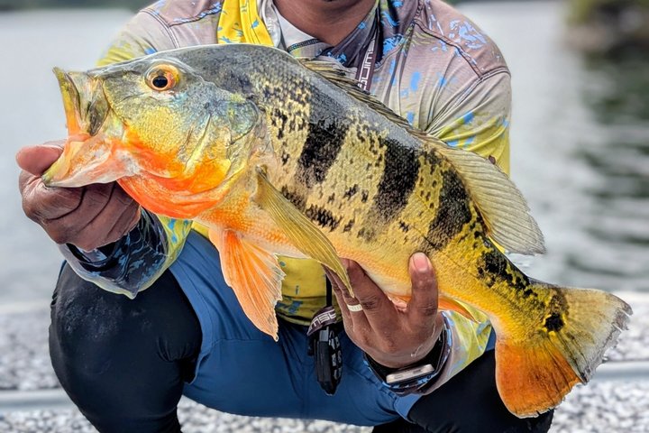 Private Fishing in the Panama Canal, Gatun Lake