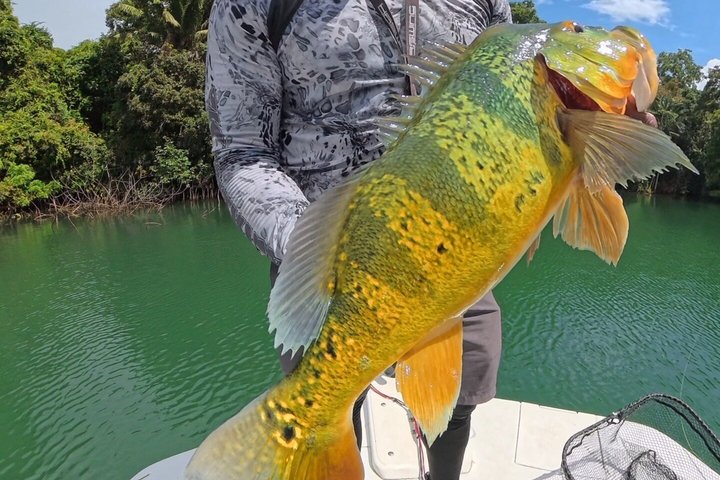 Private Fishing in the Panama Canal, Gatun Lake