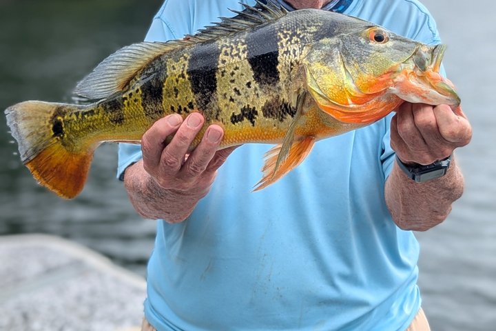 Private Fishing in the Panama Canal, Gatun Lake