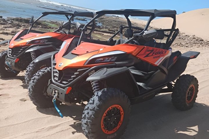 Essaouira Camel Ride, Quad Bike & Buggy Adventure