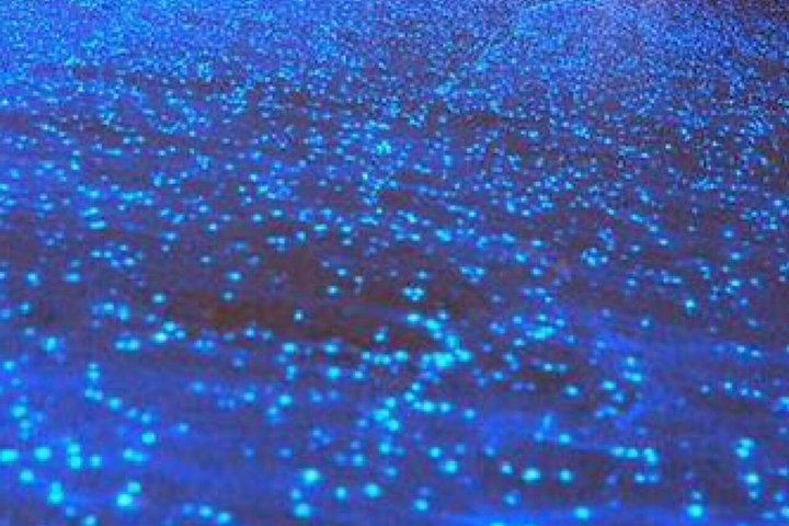 Sunset and Bioluminescent Plankton Boat Tour From Koh Lanta