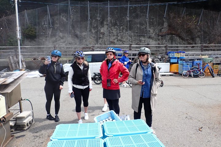Naruto Coastal Cycling Tour in Tokushima