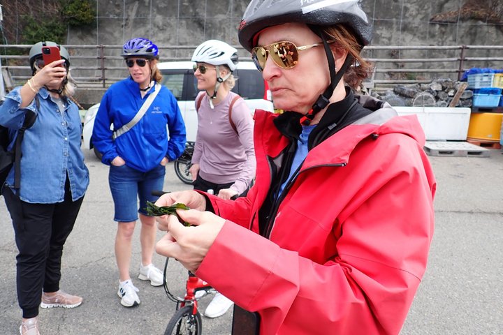 Naruto Coastal Cycling Tour in Tokushima