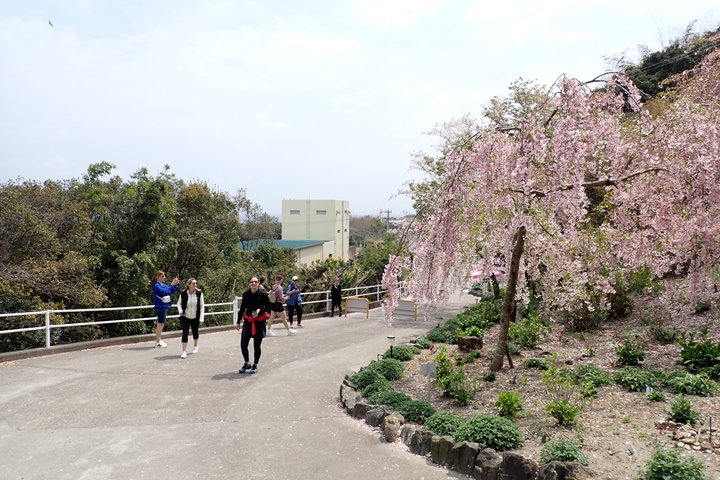 Naruto Coastal Cycling Tour in Tokushima