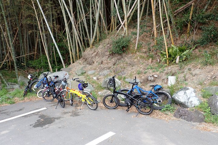 Naruto Coastal Cycling Tour in Tokushima